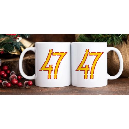 Bögre 47